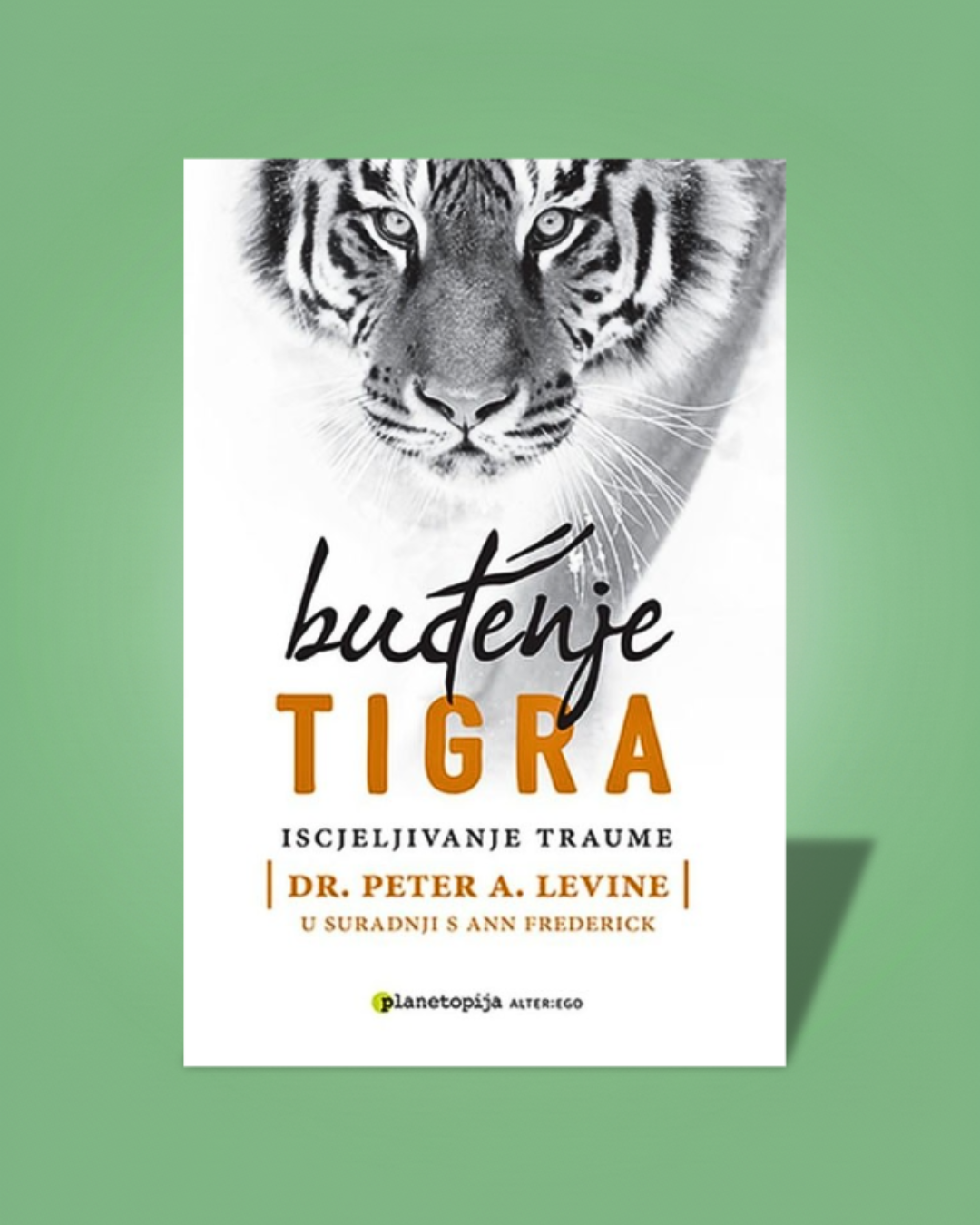 Buđenje tigra